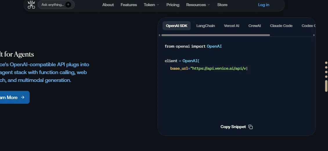 Detailed crop of a Venice AI public privacy section